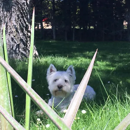 別荘 Casitas Del Gallego *