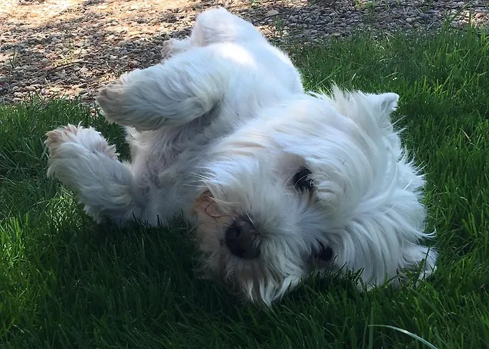 Vakantiehuis Casitas Del Gallego Villanueva de Gállego