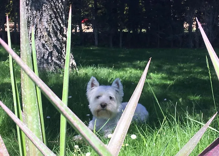 Vakantiehuis Casitas Del Gallego *